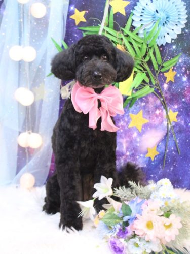 20250715アロちゃん